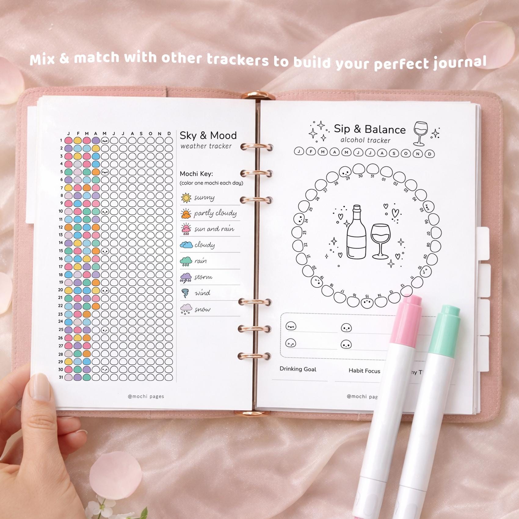 Sip Tracker Example Alcohol Monthly Tracker Printable, Drinking Tracker, Sip & Balance ...
