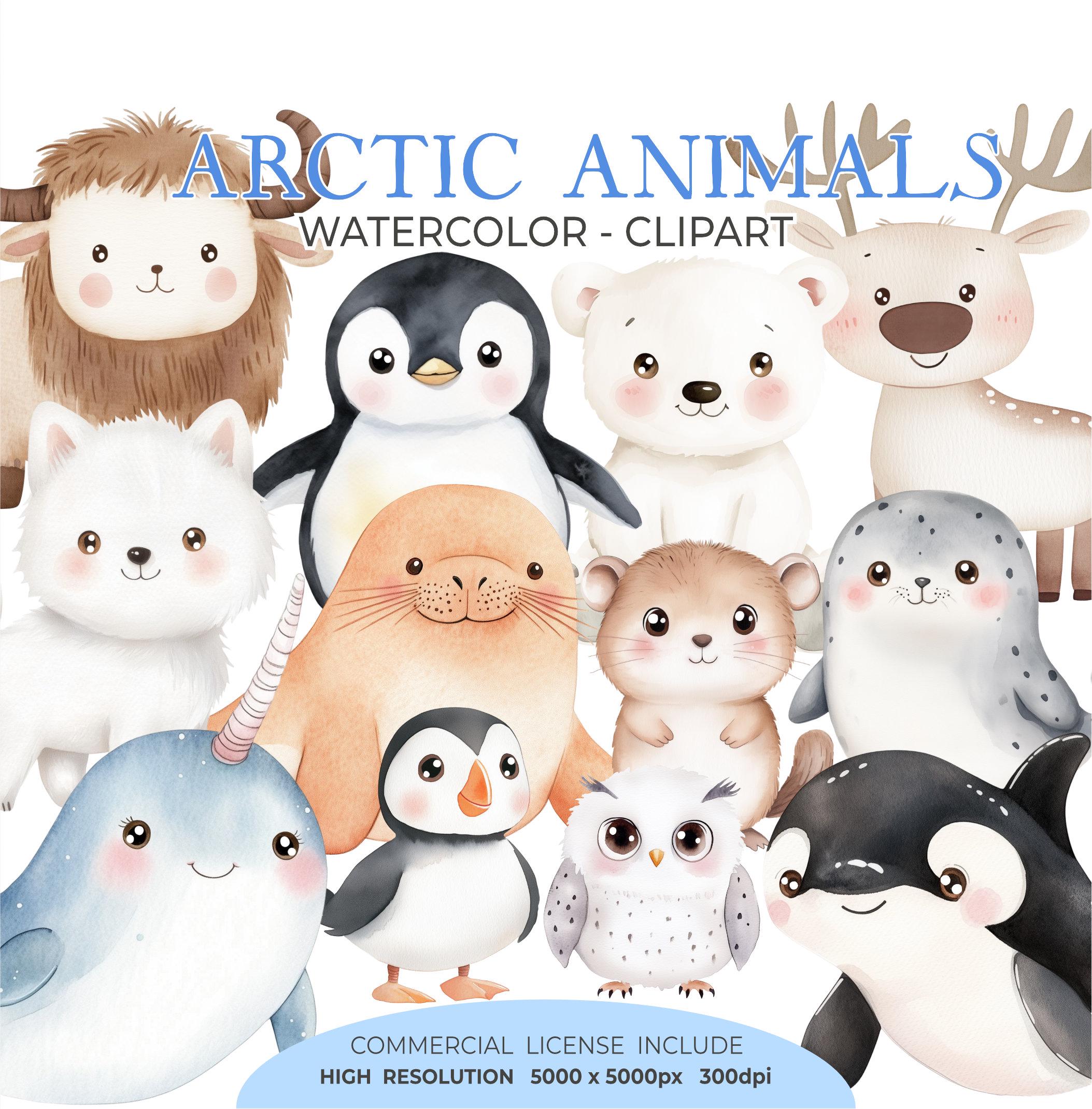 Cute Arctic Animals Clipart - Watercolor Clipart - Winter Animals ...