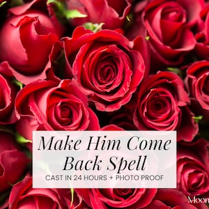 May include: A vibrant image of numerous deep red roses. A white rectangle displays the text "Make Him Come Back Spell" and "CAST IN 24 HOURS + PHOTO PROOF". The Moonbeam Lane logo is visible in the bottom right corner.