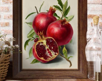 ザクロの静物画 | ヴィンテージの静物画フルーツアート | デジタル