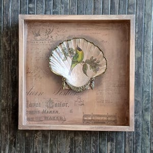 Op de afbeelding: Een vierkante houten schaduwdooslijst met een decoratieve sint-jakobsschelp op een goudkleurige standaard. De schelp is voorzien van een handgeschilderde groene vogel op een tak. De achtergrond is beige papier met zwarte vintage tekst.