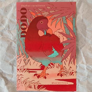 May include: A postcard featuring a stylized illustration of a Dodo bird in shades of red, teal, and orange, set against a backdrop of tropical foliage. The word "DODO" is printed vertically, with the text "Raphus cucullatus" above and "MAURITIUS" below.