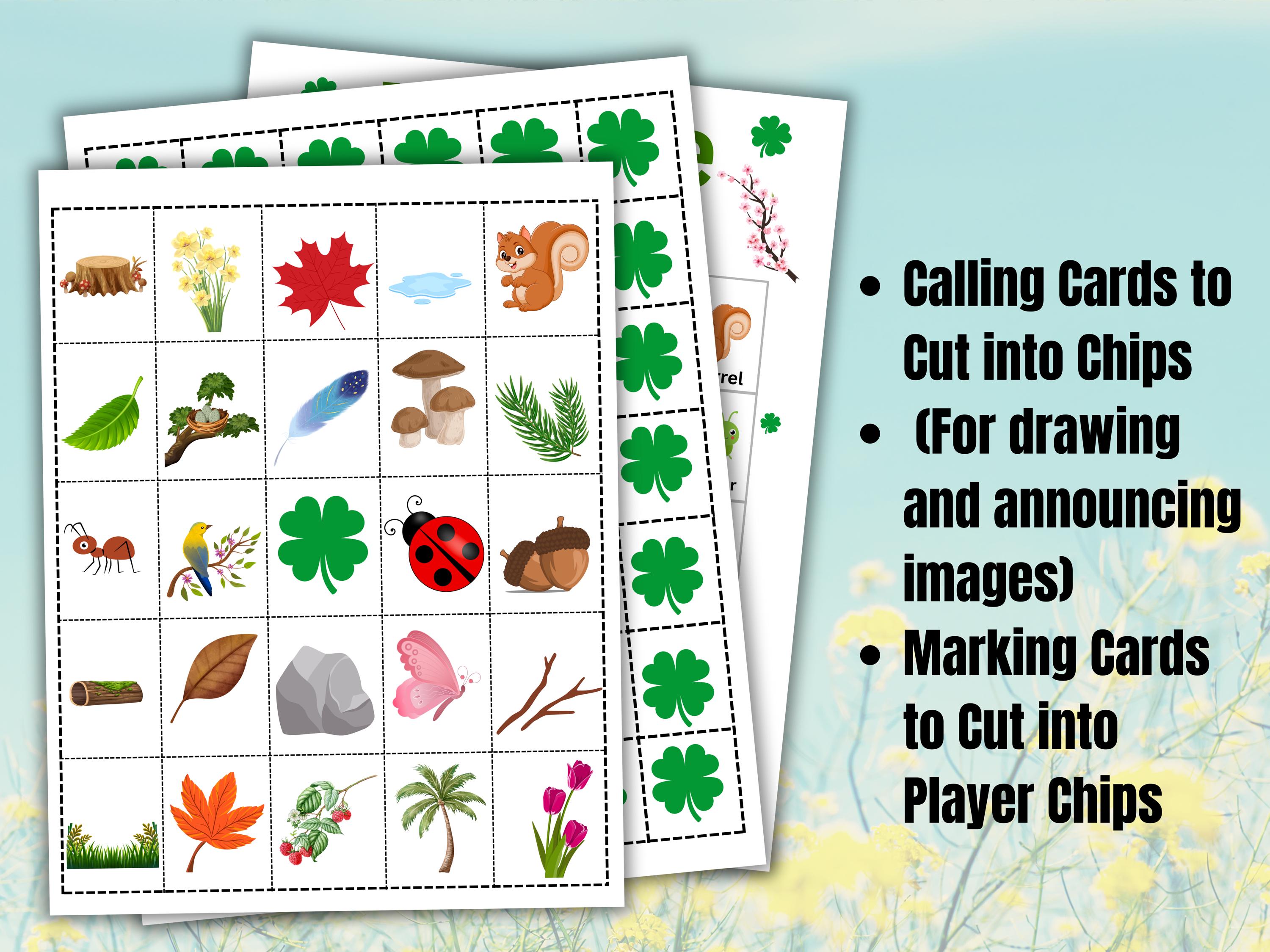 Printable Nature Bingo Game | 30 Nature Bingo Cards | Camping & Hike ...