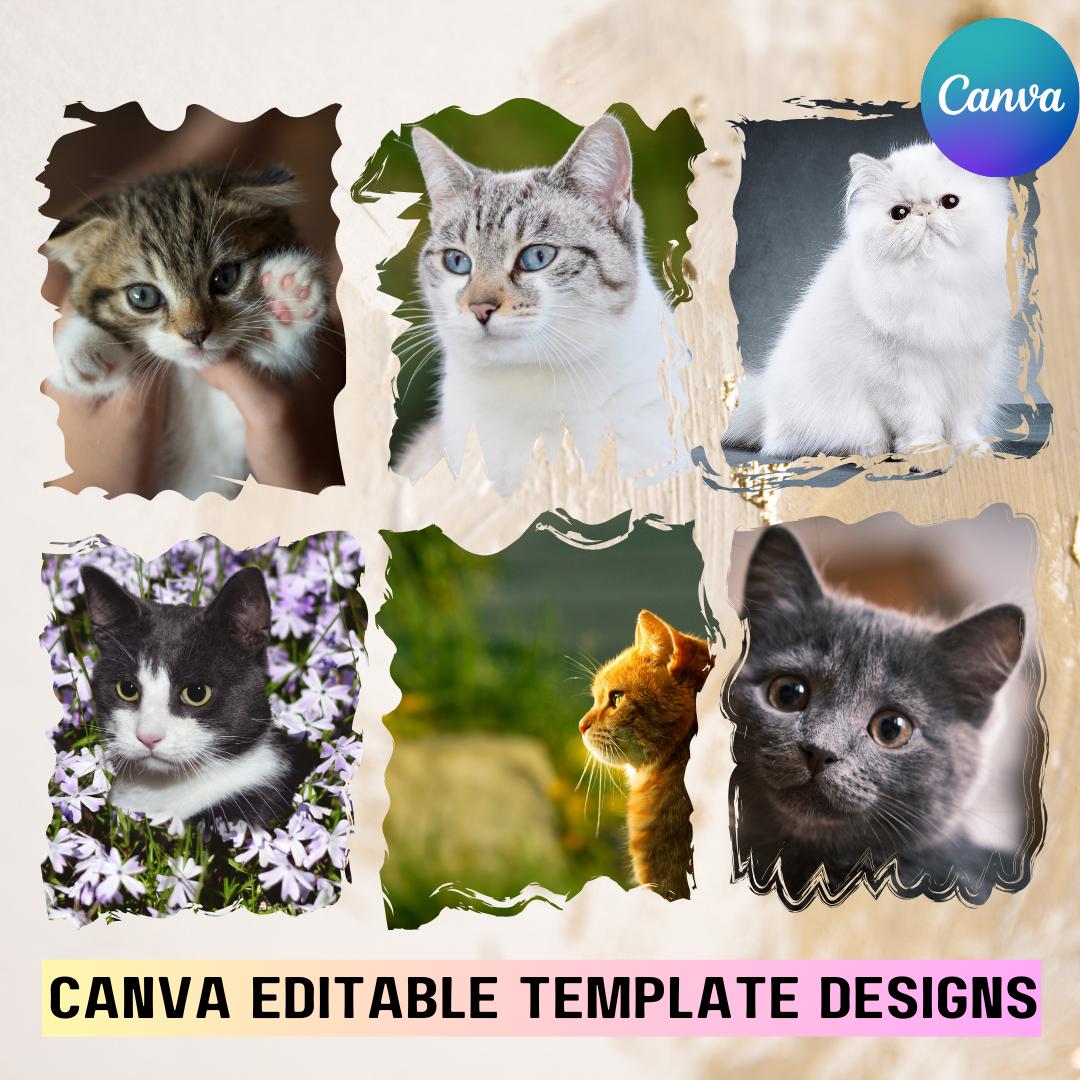 Canva Editable Bleach Effect Distressed Edge Frames Bundle, Fill Your ...