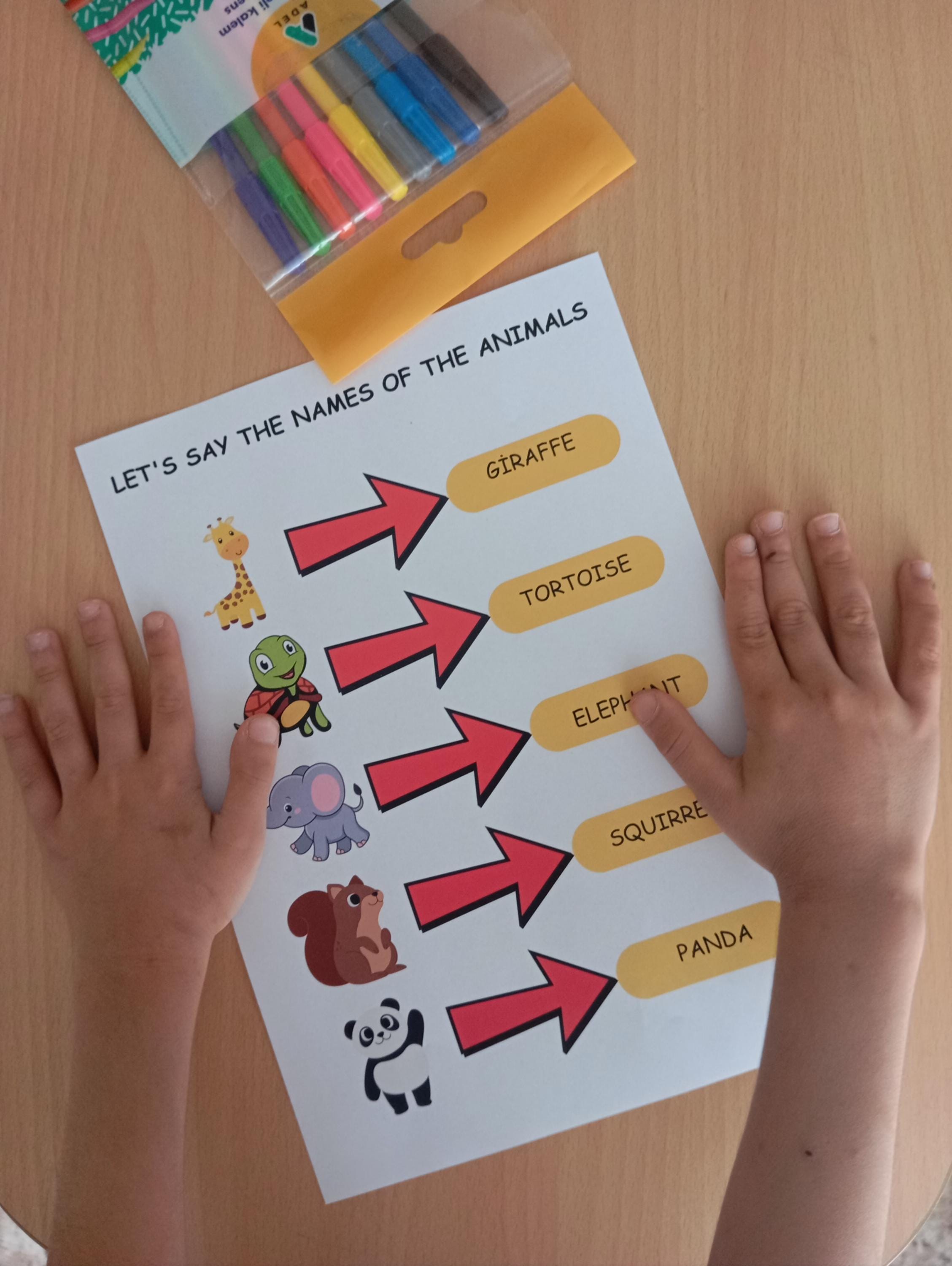Animal Learning Pack,printable Animal Facts and Names Worksheets, Kids ...