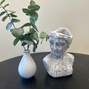 Rustic White Bust Planter – Classical Female Sculpture Pot for Faux Greenery or Desk Styling