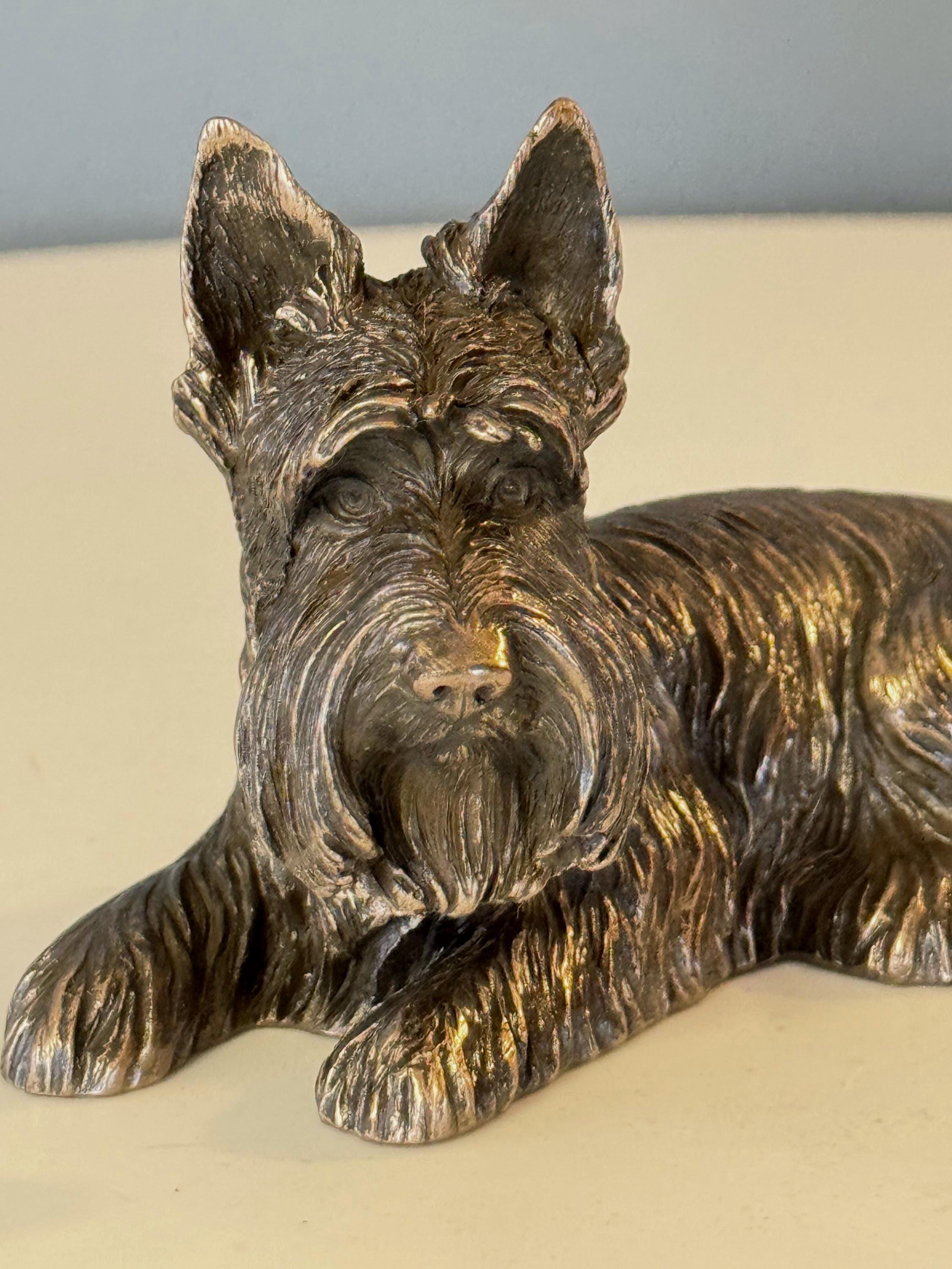 Chien Scottish Terrier CH. Vanina de la Vallée D'Orion