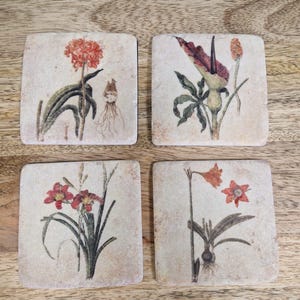 Vintage Blumen-Untersetzer-Set mit handgemaltem botanischem Design - elegante dekorative Getränkeuntersetzer für Tischdekoration, Esszimmer oder Wohndekor