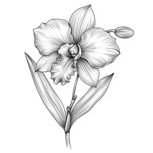 Orchidee zeichnung - Etsy.de