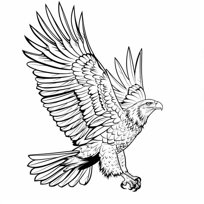 Eagle Bald Realistic Line Art Illustration Black and White Bundle 2 43 ...