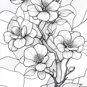 May include: A black and white line drawing of a flowering branch with delicate blossoms. The flowers are stylized and have a simple, elegant design.