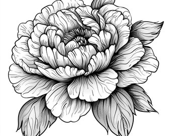 Peony Blooms Black/White Line Art  Bundle 2     45  Digital Ai Line Art PNG-SVG (Digital Download)