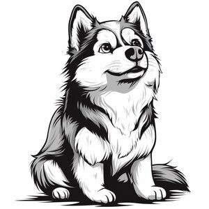 May include: A black and white illustration of a husky dog sitting with its head tilted up. The dog has a fluffy tail and a friendly expression.