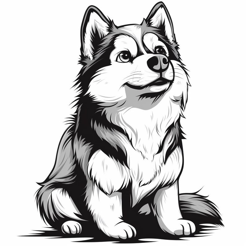 May include: A black and white illustration of a husky dog sitting with its head tilted up. The dog has a fluffy tail and a friendly expression.