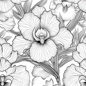 Puede incluir: Patrón floral en blanco y negro con detallados dibujos lineales de flores de iris y hojas. El diseño presenta un motivo repetitivo de grandes flores abiertas con intrincados detalles de pétalos, creando un diseño elegante y sin costuras.