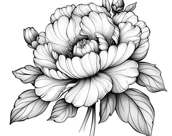 Peony Blooms Black/White Line Art  Bundle 1     45  Digital Ai Line Art Svg Png