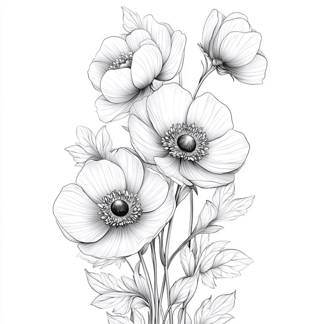 【中古】 花の線画 il_1080xN.6570121915_1bm4.jpg