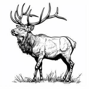 Puede incluir: Un dibujo en blanco y negro de un alce con grandes astas de pie en un campo de hierba.