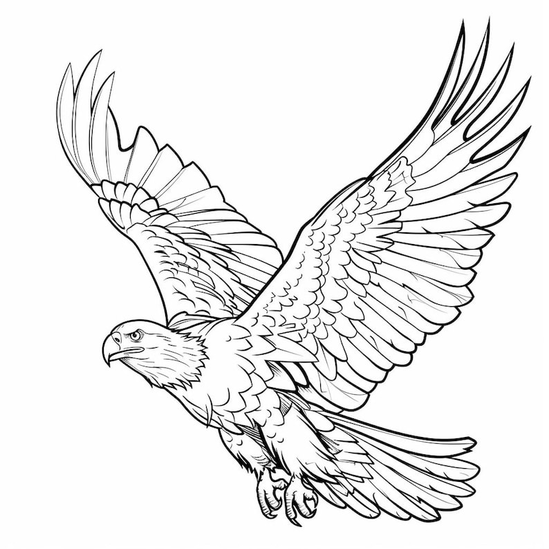Eagle Bald Realistic Line Art Illustration Black and White Bundle 1 45 ...