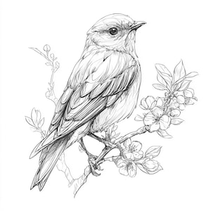 以下が含まれることがあります： 花咲く枝に止まっている鳥の、詳細な白黒イラスト。鳥は詳細な羽毛を持ち、右を見ています。枝には繊細な葉と花が描かれており、自然なシーンを作り出しています。