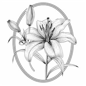 Lily Blooms Line Art  Black and White Bundle 1     24 Digital Ai Line Art PNG-SVG (Digital Download)