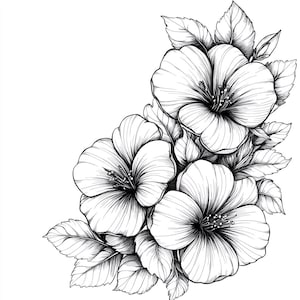 May include: Black and white line drawing of a cluster of delicate flowers with leaves. The flowers have five petals each and are arranged in a corner of the image.
