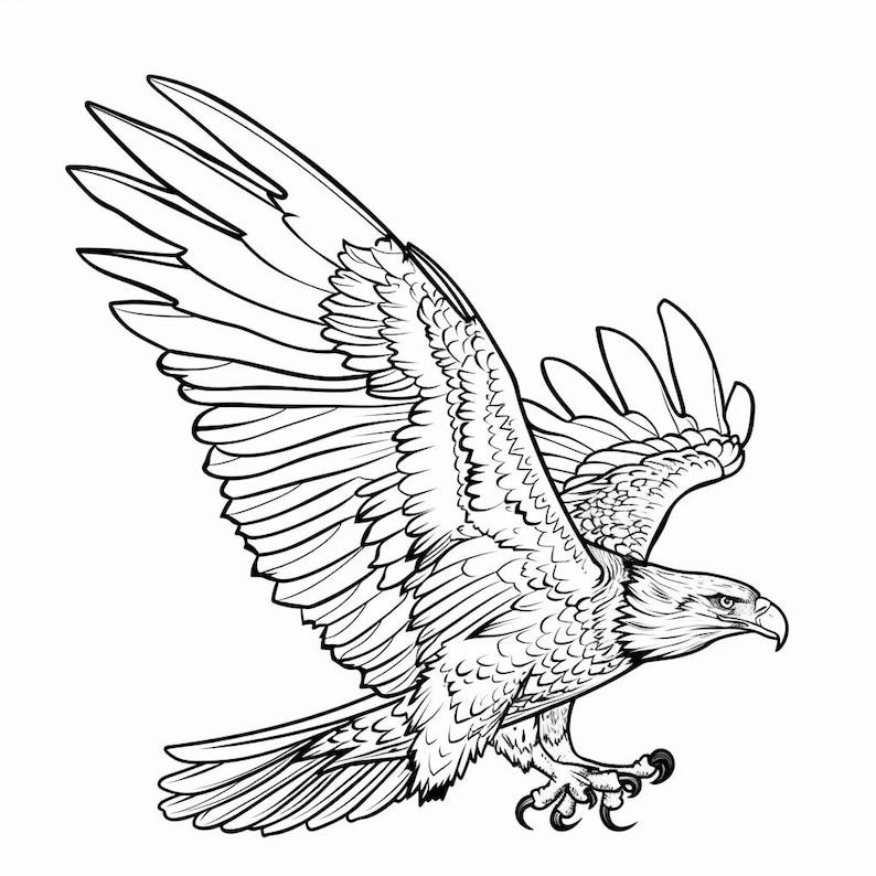 Eagle Bald Realistic Line Art Illustration Black and White Bundle 1 45 ...