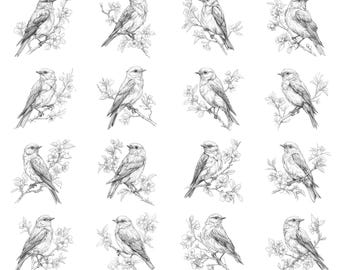 Bluebird Line Art Black and White Bundle 1 28 Digital Ai Line Art