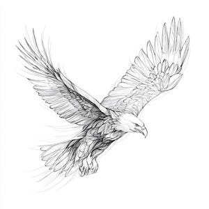 May include: A detailed monochrome illustration of a bald eagle in flight. The eagle is shown with its wings outstretched, displaying intricate feather detail. The artwork has a sketch-like quality, with dynamic lines suggesting movement.