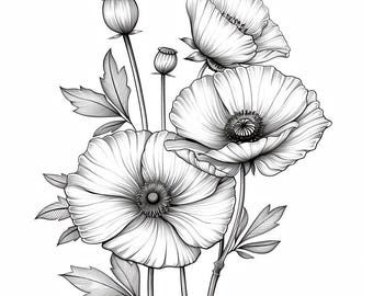 Poppy Blooms Line Art  Black and White Bundle 1   32 Digital Ai Line Art PNG-SVG