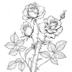 May include: A black and white line drawing of three roses with leaves and stems. The roses are in full bloom and have a delicate, romantic feel.