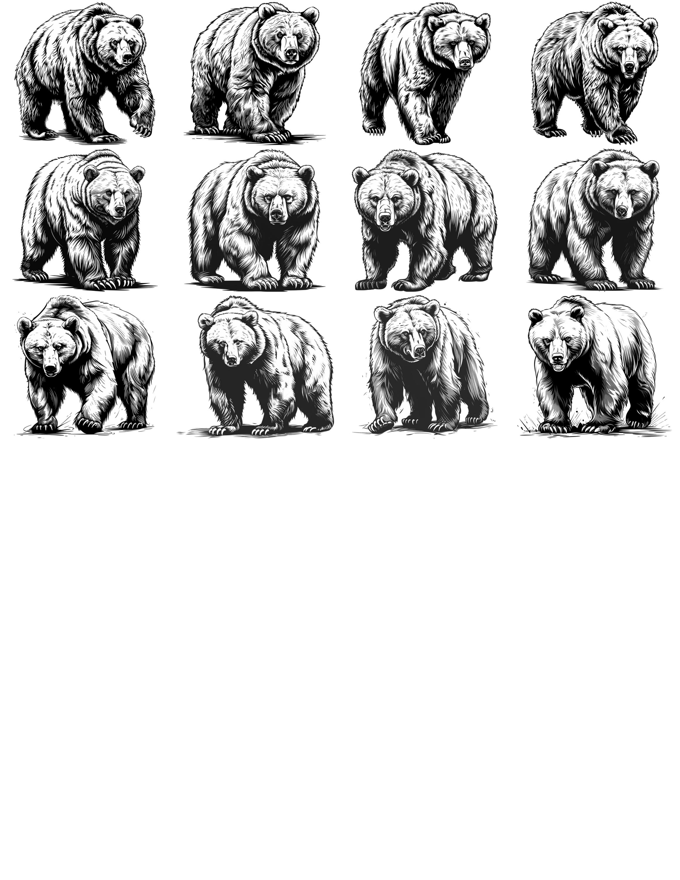 クマのイラスト集 2 62点 デジタルAI線画 PNG-SVG (デジタル