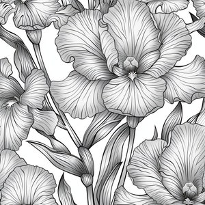 May include: Black and white line drawing of iris flowers with detailed petals and leaves. The flowers are arranged in a repeating pattern.
