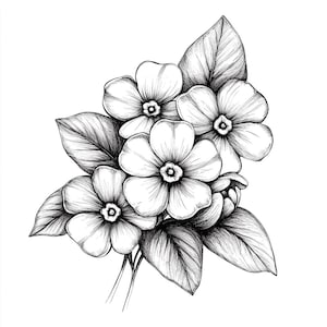 Peut inclure: Un dessin au trait noir et blanc d'un bouquet de primevères avec des feuilles.