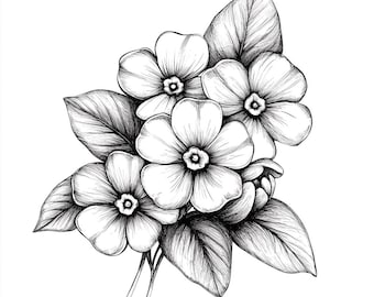 ワスレナグサの花 白黒線画バンドル 2 48点のデジタルAi線画 PNG-SVG