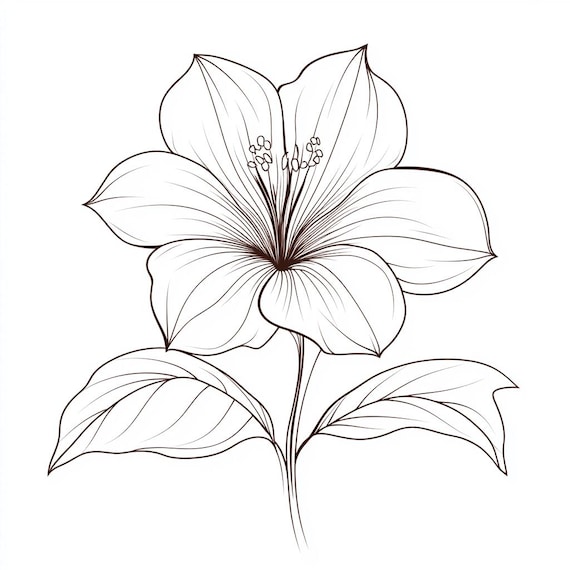ツツジの花の細い線、白黒線画バンドル 1 48 デジタル AI 線画 PNG-SVG
