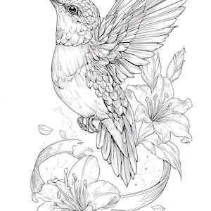 Hummingbird and Flowers Line Art illustrations  Black and White  Bundle 1   26  Digital Line Ai Art  Svg-Png