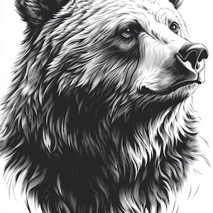 Peut inclure: Illustration en noir et blanc d'une tête d'ours, avec des détails de fourrure complexes et un regard concentré. L'œuvre met en valeur les traits de l'ours, créant un portrait saisissant.