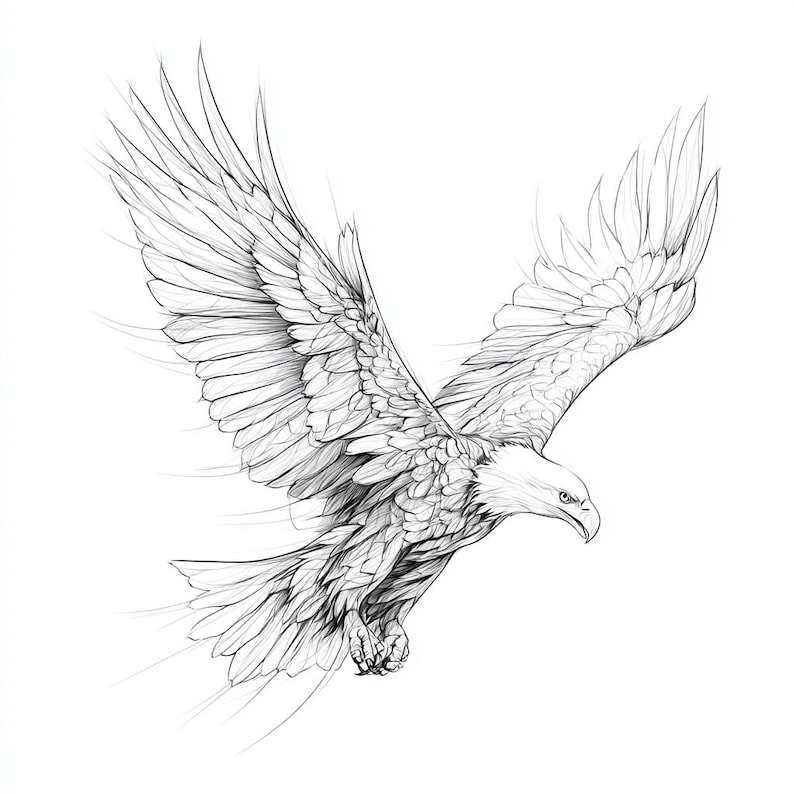 Eagle Line Art Black and White Bundle 1 32 Digital Ai Line Art PNG-SVG ...