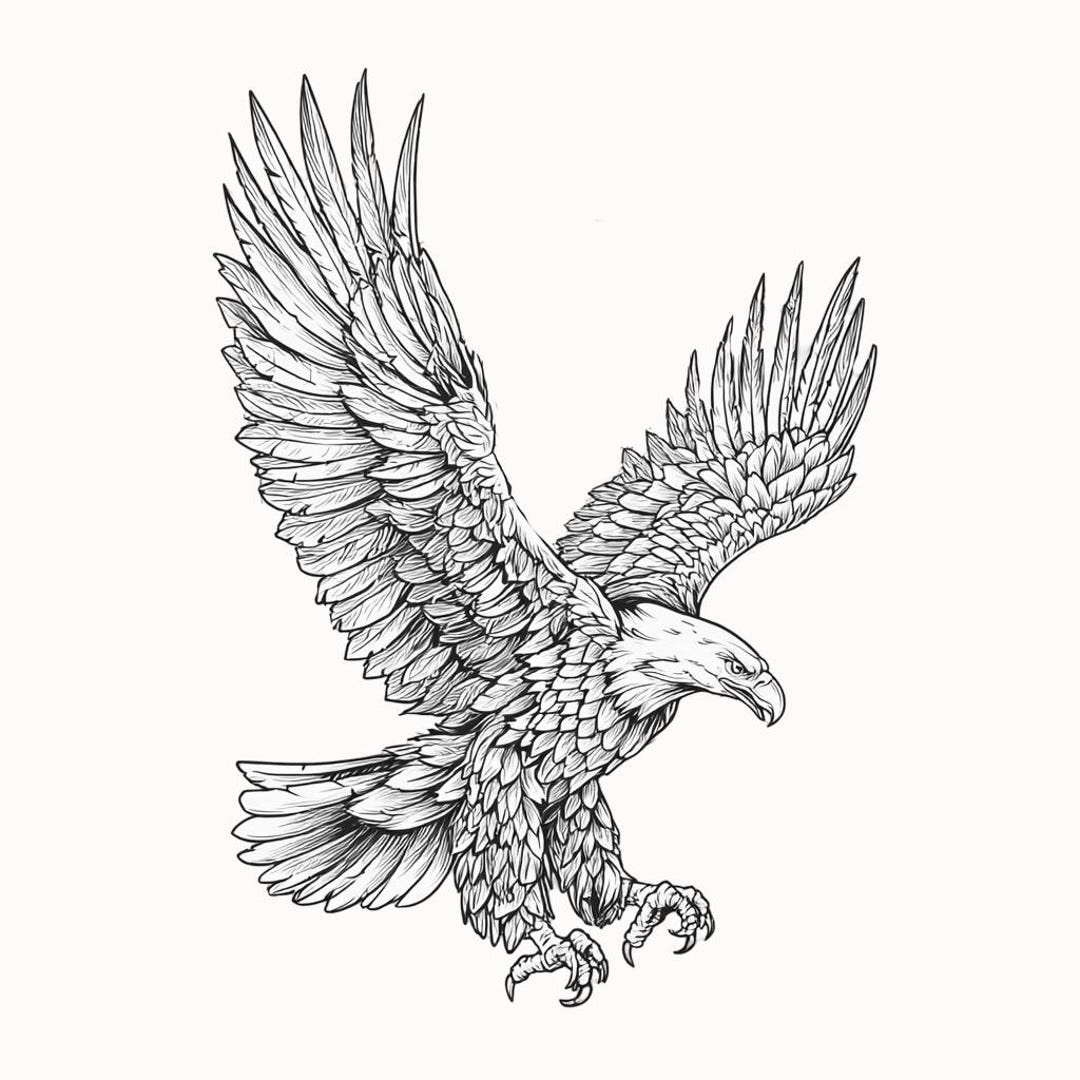 Eagle Line Art Black and White Bundle 2 36 Digital Ai Line Art PNG-SVG ...