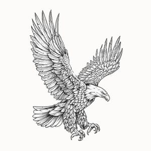May include: A detailed black and white illustration of an eagle in flight. The eagle's wings are spread wide, with intricate feather detail. Its talons are extended, and the bird appears to be descending. The artwork is set against a plain white background.