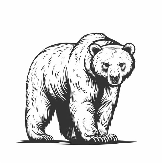 クマのイラスト集 1 60点 デジタルAI線画 PNG-SVG (デジタル