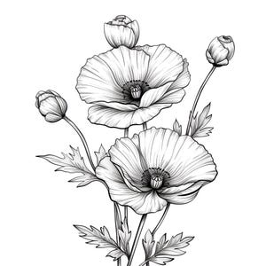 Peut inclure: Un dessin au trait noir et blanc d'un bouquet de coquelicots avec des tiges et des feuilles délicates.