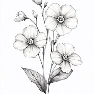 Puede incluir: Un dibujo a lápiz en blanco y negro de un ramo de flores delicadas con cinco flores. Las flores tienen cinco pétalos cada una y están dispuestas en un racimo con hojas.