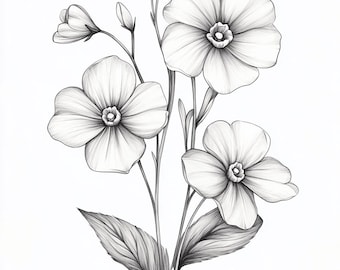 Forget-Me-Not Blooms  Black/White Line Art  Bundle 1    55  Digital Ai Line Art PNG-SVG