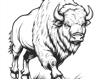 Buffalo/Bison Black and White  Bundle 2  65 Digital Ai Line Art PNG-SVG (Digital Download)
