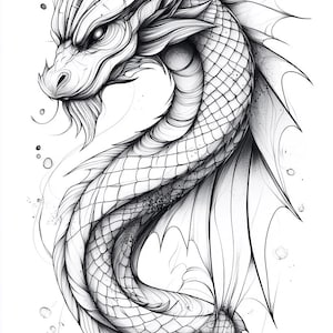 Dragon illustrations Black and White  Bundle 3   34  Digital Line Art Ai  Svg-Png