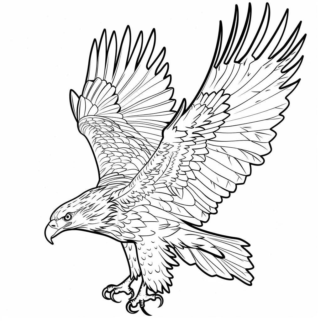 Eagle Bald Realistic Line Art Illustration Black and White Bundle 2 43 ...