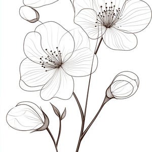 桜の細い線画 黒/白の線画 バンドル 1 40 デジタル線画 Ai SVG PNG