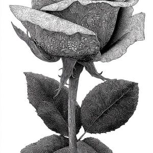 May include: Detailed black and white illustration of a rose. The rose petals and leaves are intricately patterned with swirling designs. The stem features thorns, and the image is set against a white background.